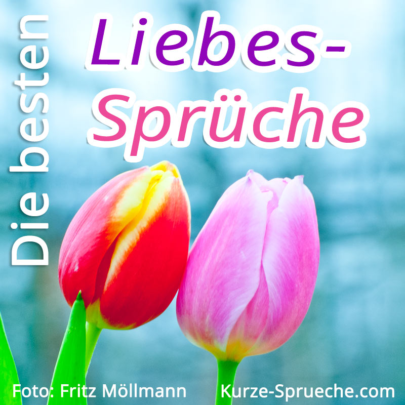 Liebessprüche