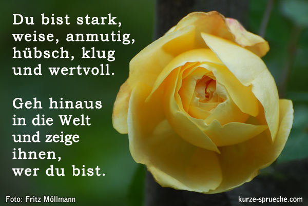 Du bist