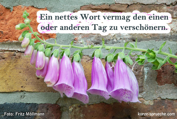 Ein nettes Wort