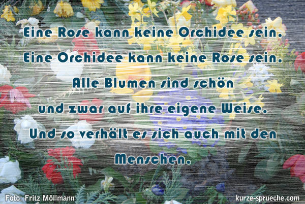 Schönheit Blumenspruch