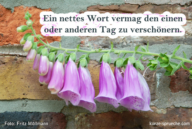 Schöne Sprüche