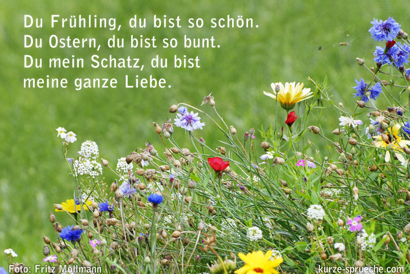 Spruch Frühling Ostern Liebe