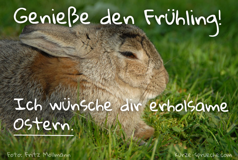 Osterwunsch