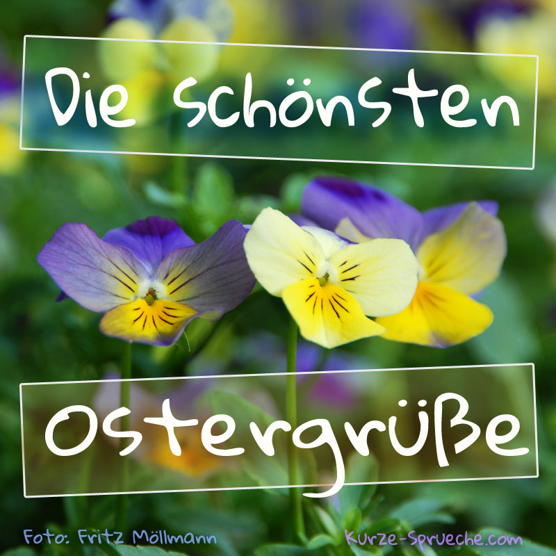 Die schönsten Ostergrüße - Blumen