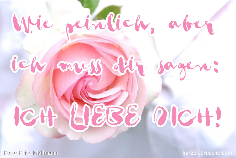 Liebe Blume Spruch